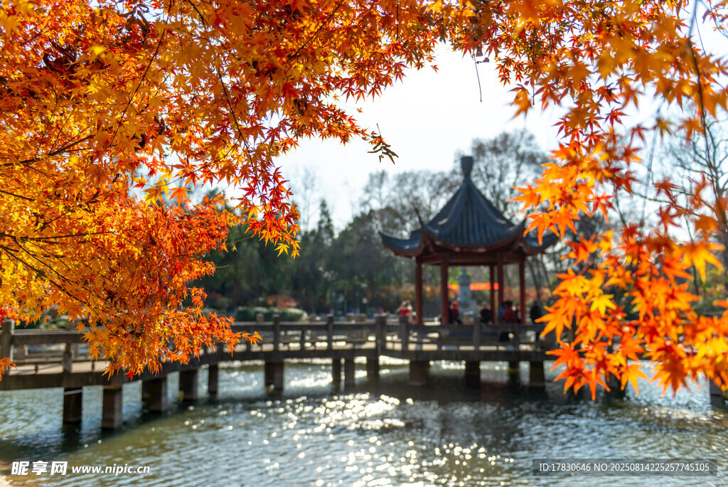 南京西霞山秋日風(fēng)光