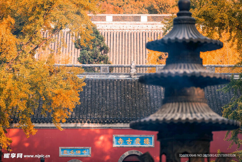 江蘇南京棲霞山棲霞寺秋天的銀