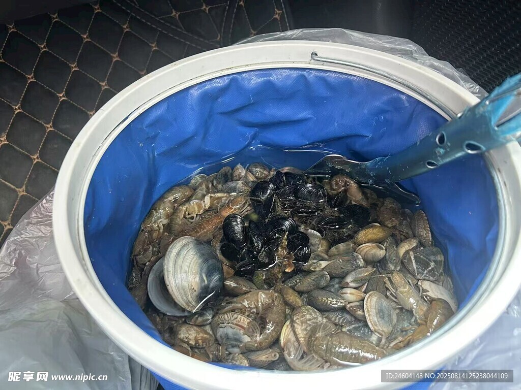 挖蜆子