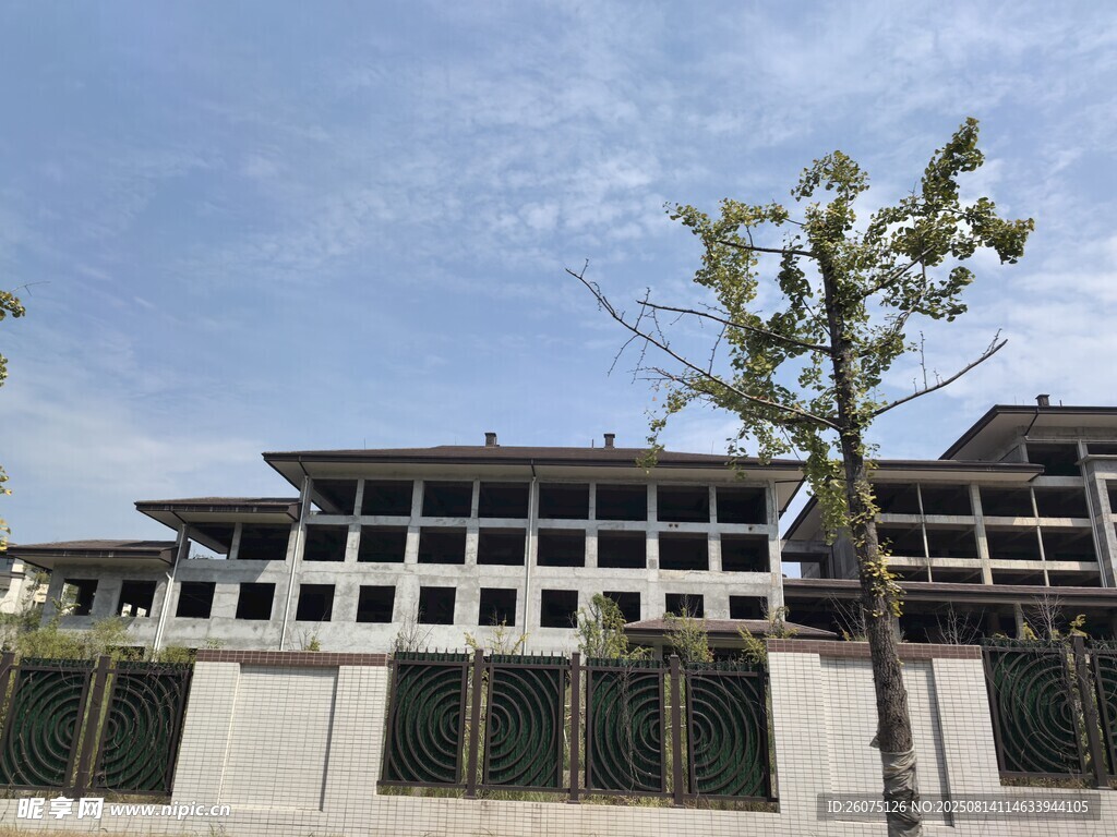 現(xiàn)代風(fēng)格建筑旁的樹木