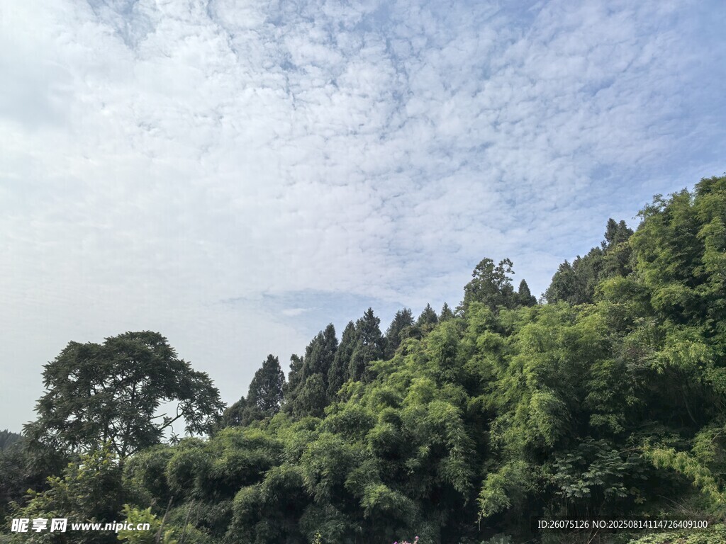 山林藍天美景