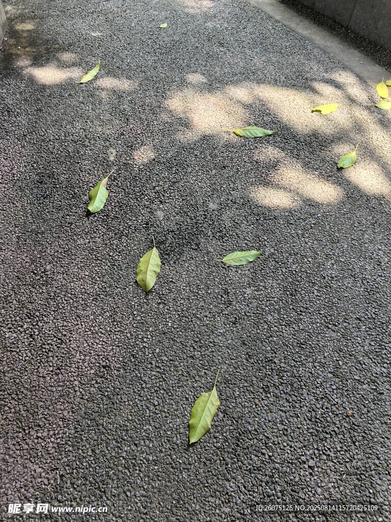 路面上散落的幾片綠葉