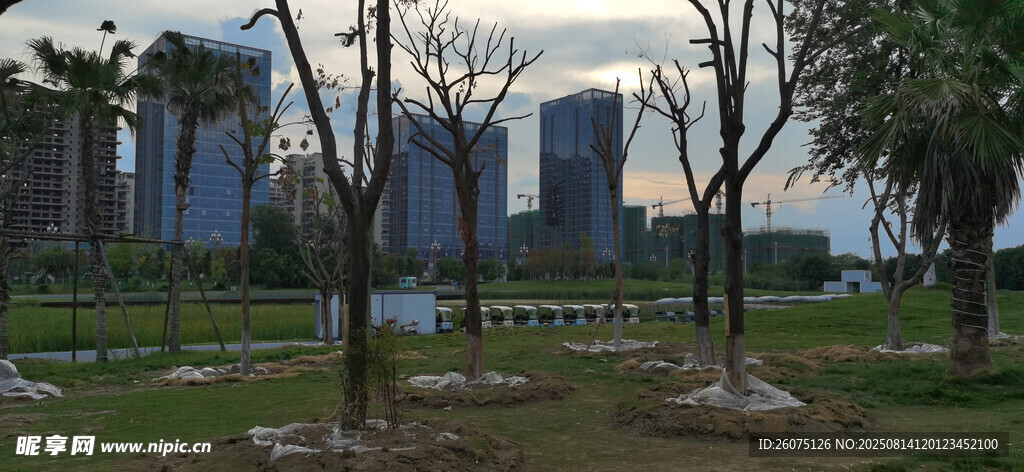 城市河畔樹(shù)木景觀