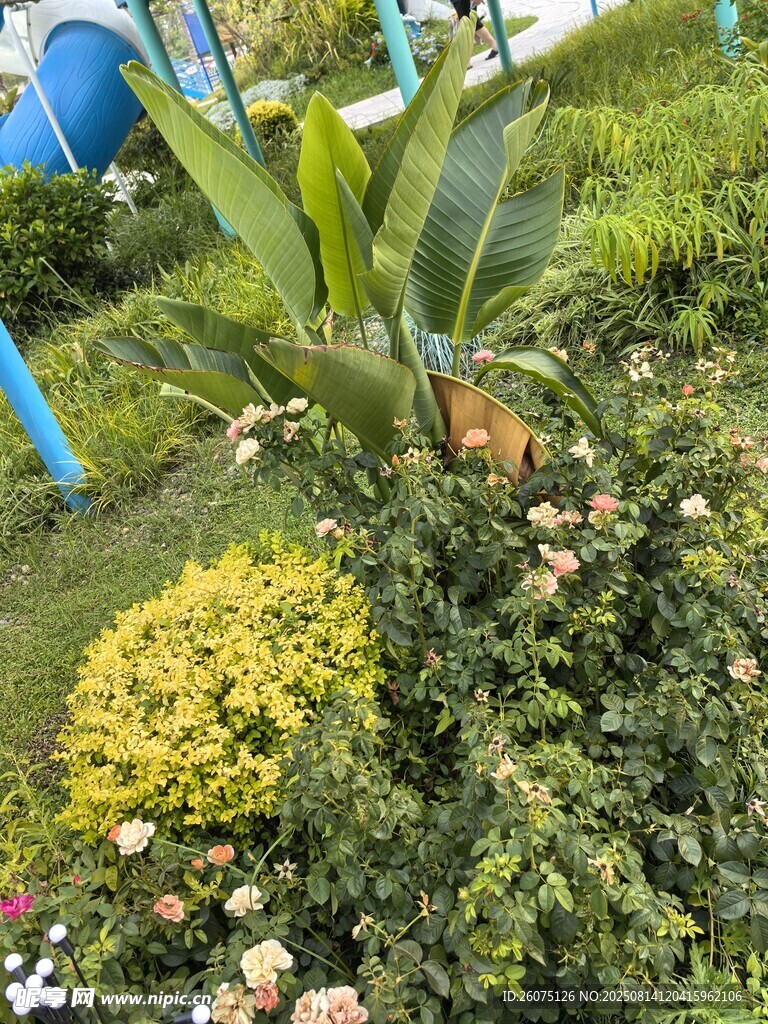 多彩綠植景觀