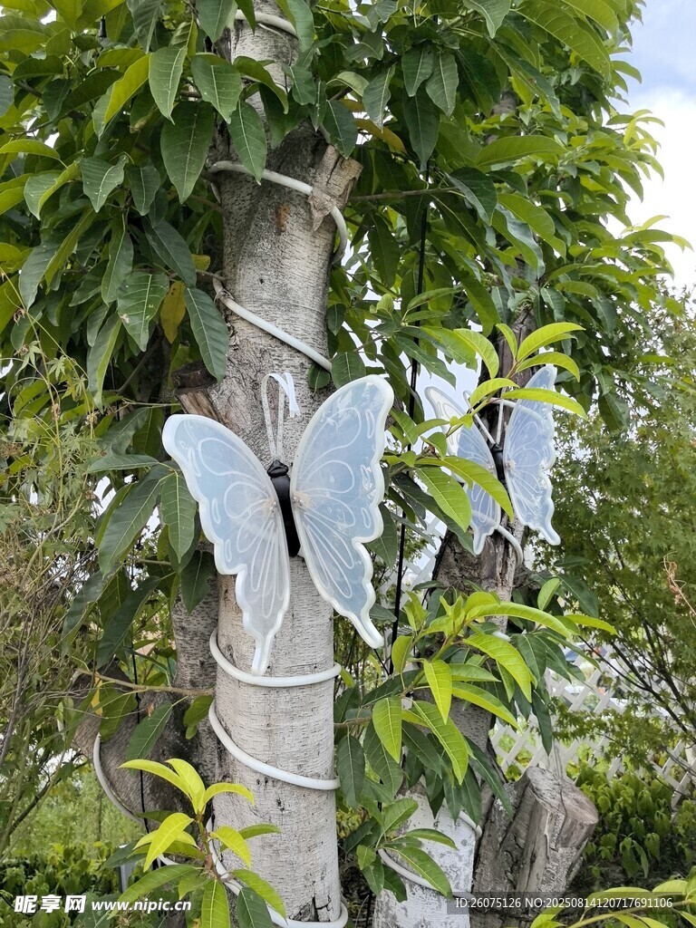 樹上的夢幻白色蝴蝶裝飾燈