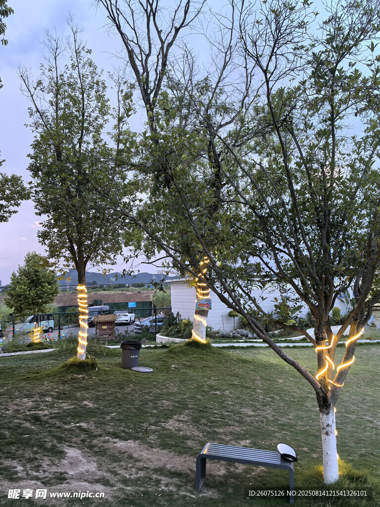 黃昏下公園樹木與長椅景觀