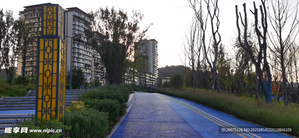 城市中的靜謐林蔭道路