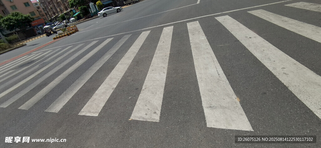 城市道路上的斑馬線