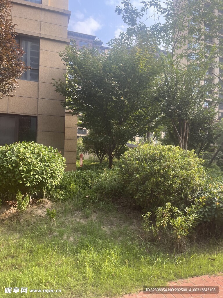 戶外綠植環(huán)繞的建筑一角