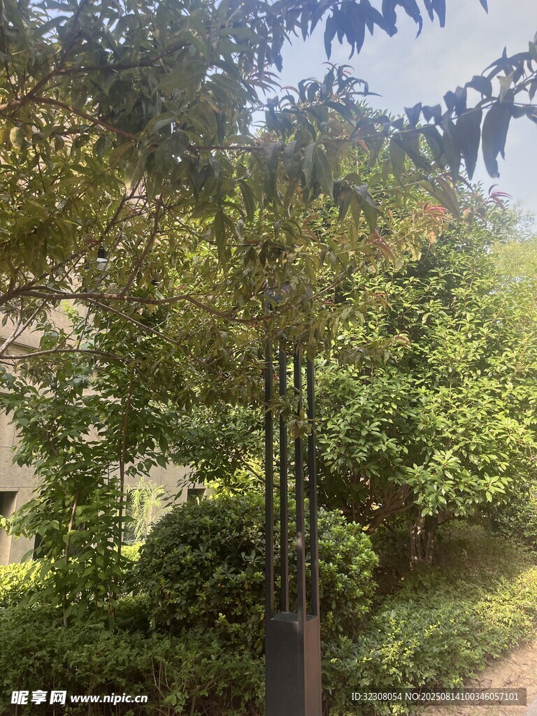 庭院綠植景觀