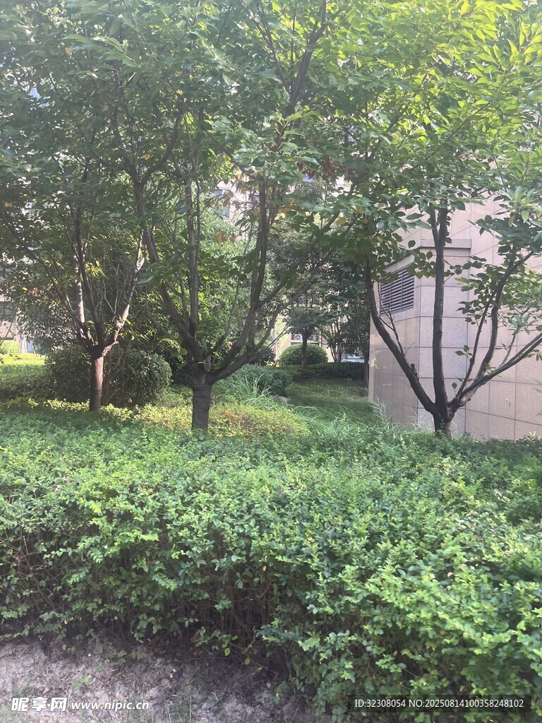 綠意盎然的園林景觀