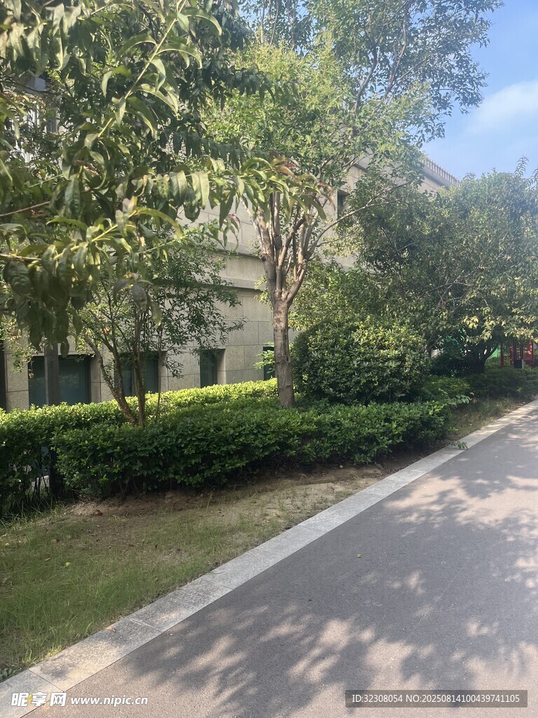 小區(qū)旁綠意盎然的街道