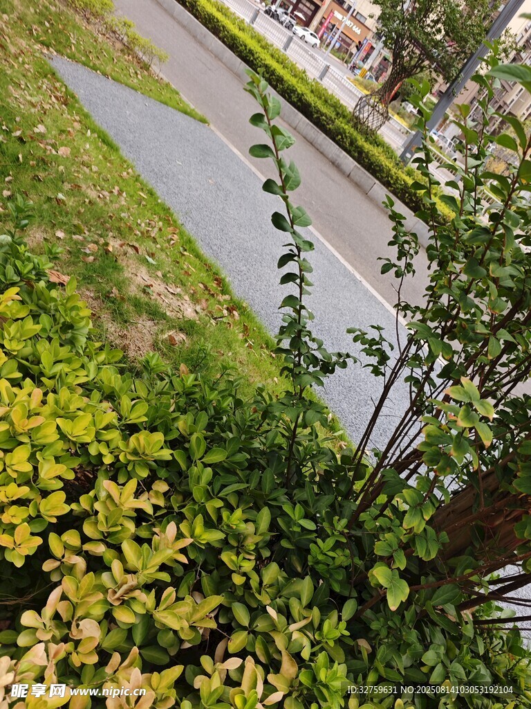 河畔綠植景觀