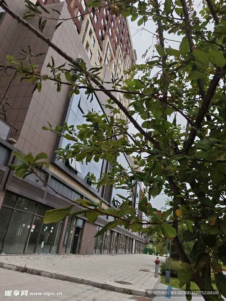 街邊綠植與建筑景觀
