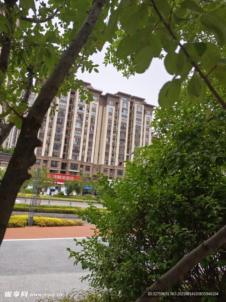 綠樹(shù)掩映下的城市建筑