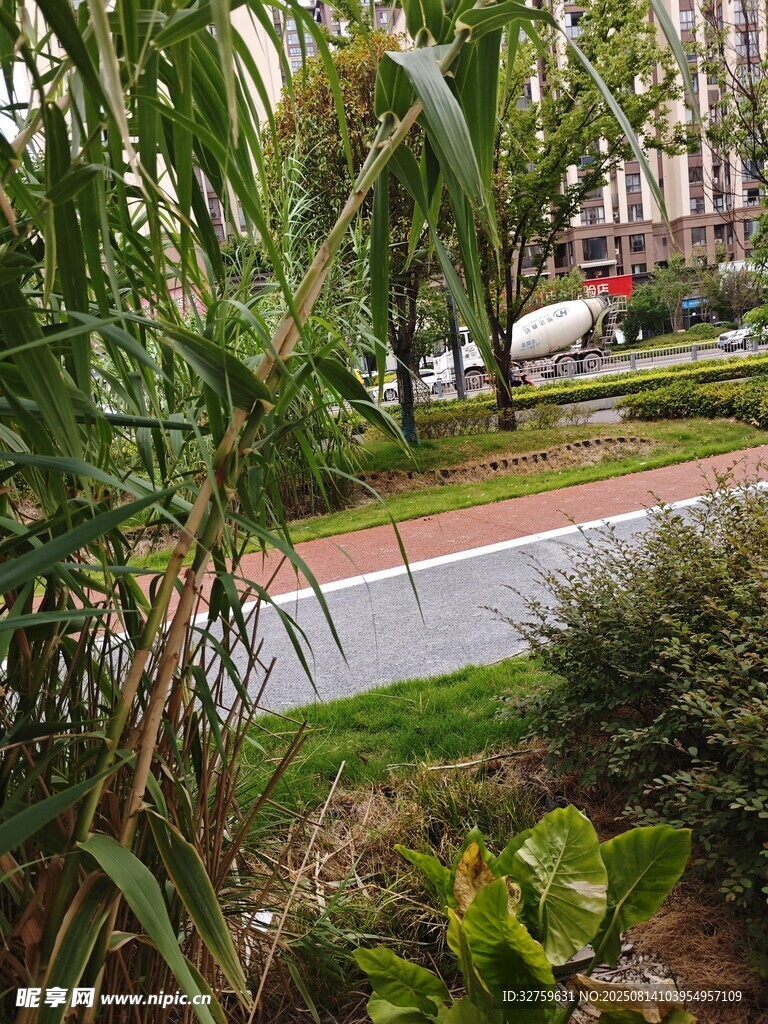城市路邊綠植景觀