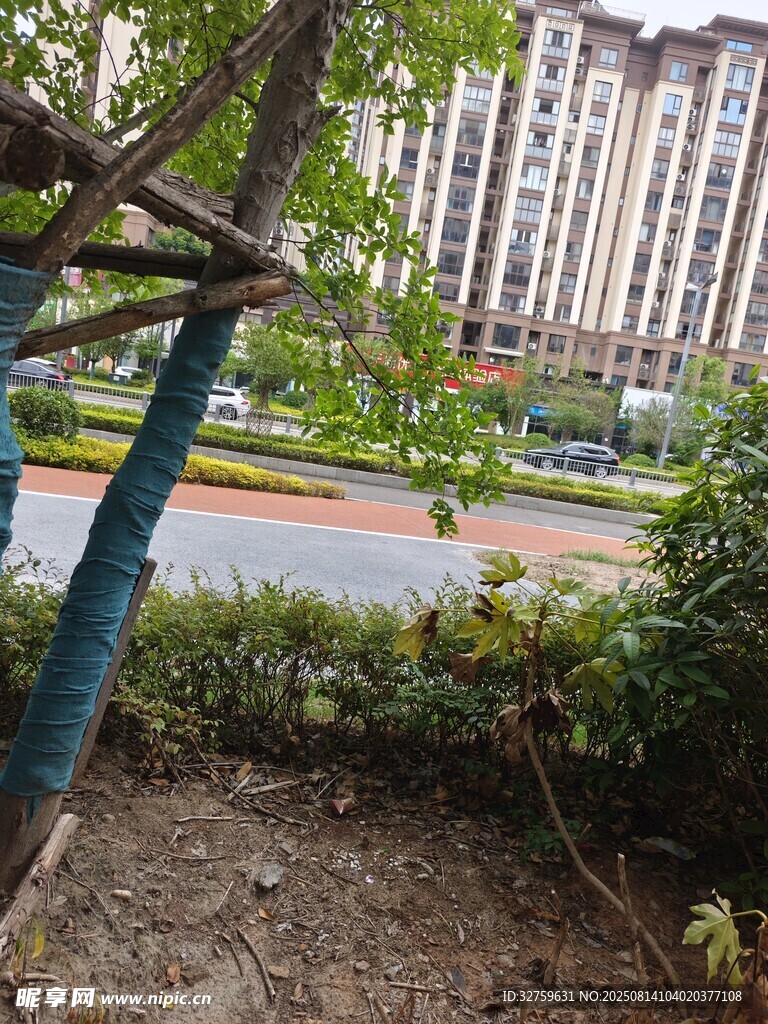 小區(qū)綠植旁的建筑景觀