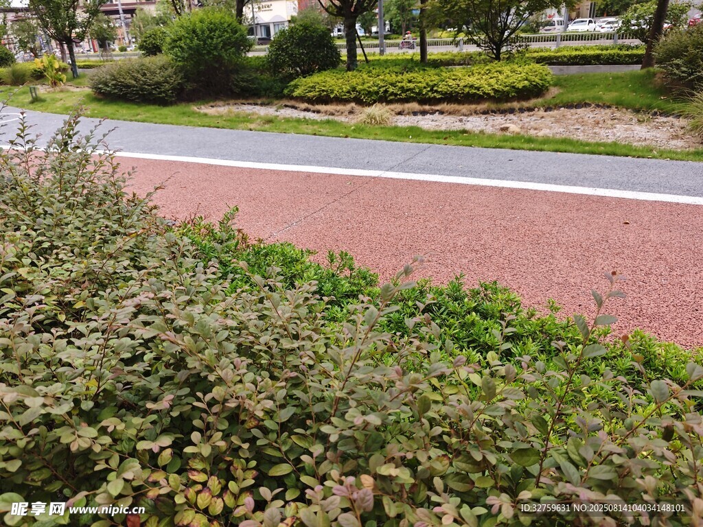 路邊綠植景觀