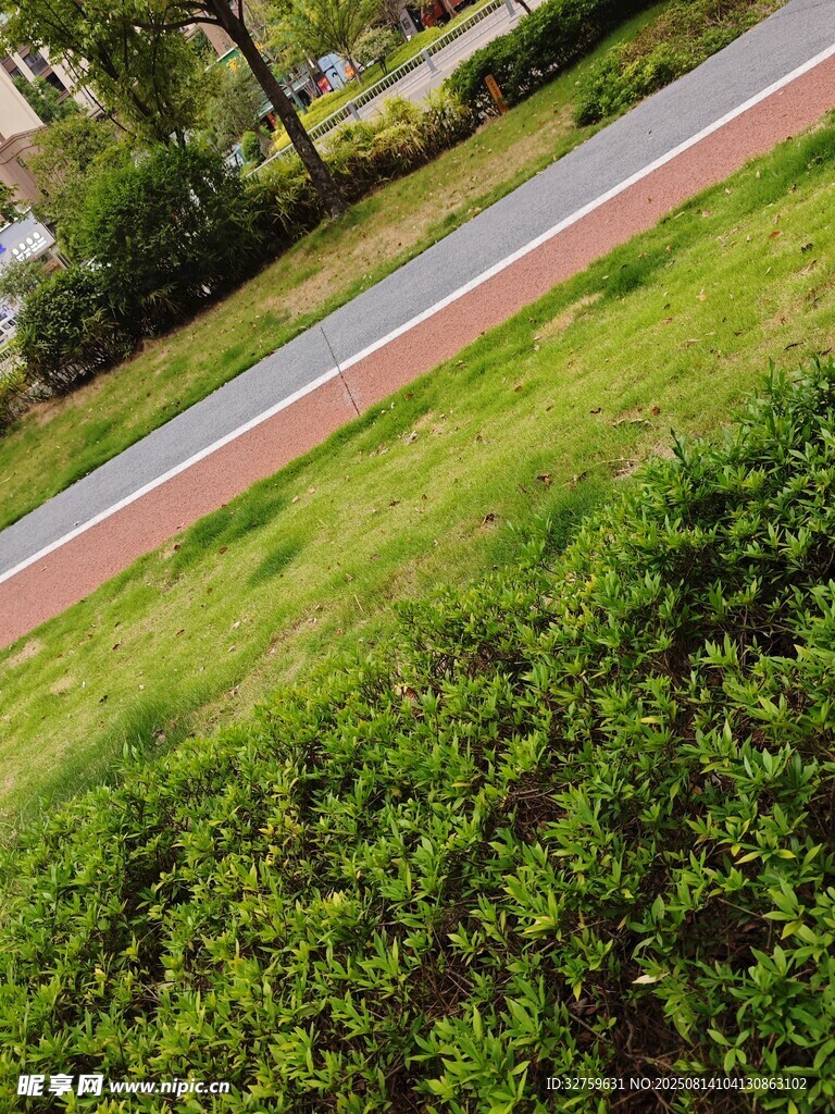 空中俯瞰路邊綠植與步道