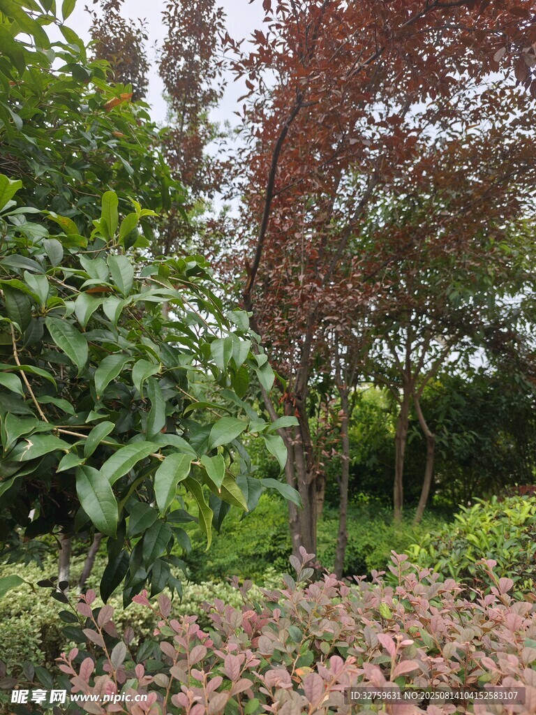 多彩綠植裝點的自然景致