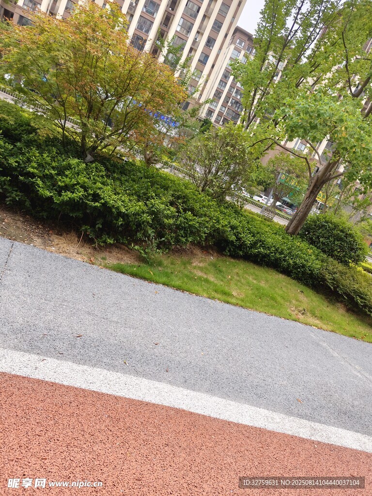 城市街邊綠植景觀
