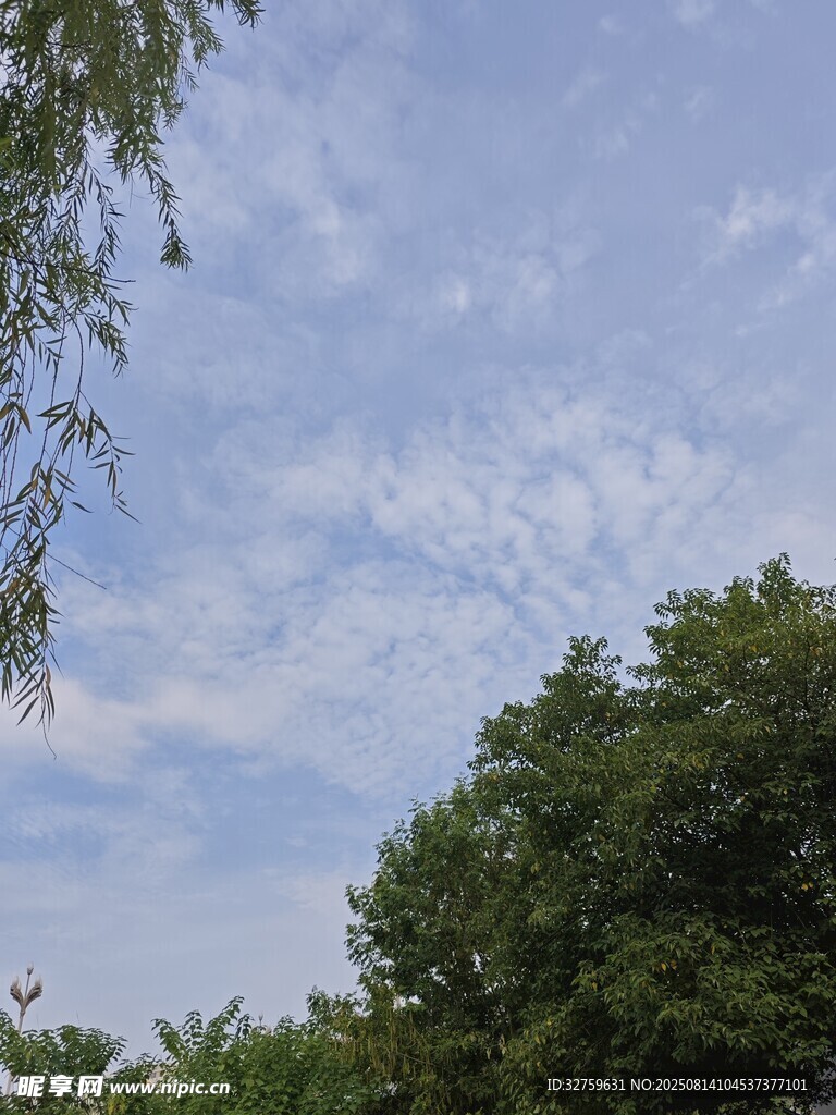 藍(lán)天白云下的綠樹(shù)景致