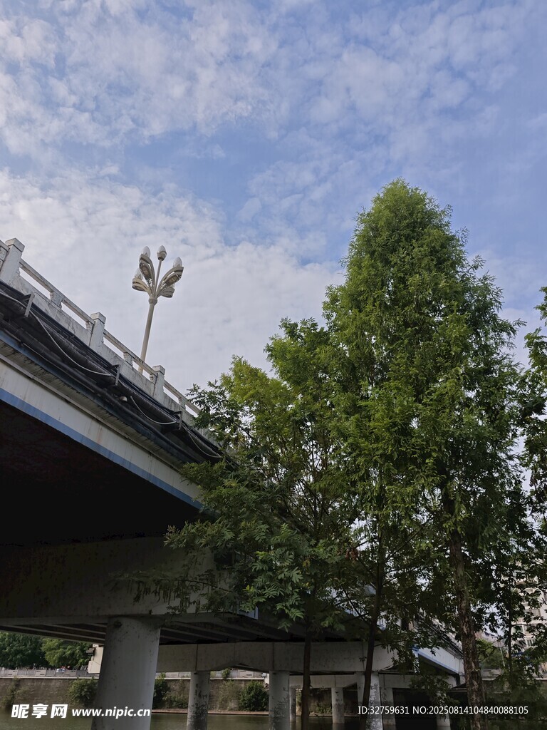 戶外橋梁旁的綠樹(shù)景觀