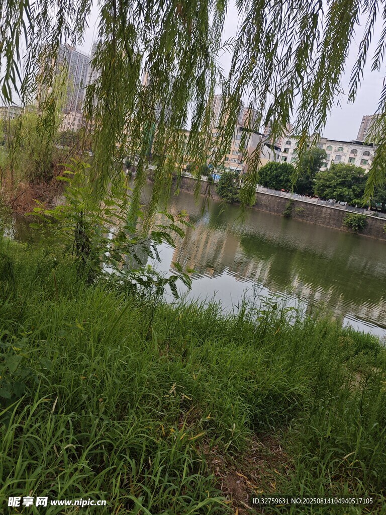 湖畔垂柳綠草風(fēng)景如畫(huà)