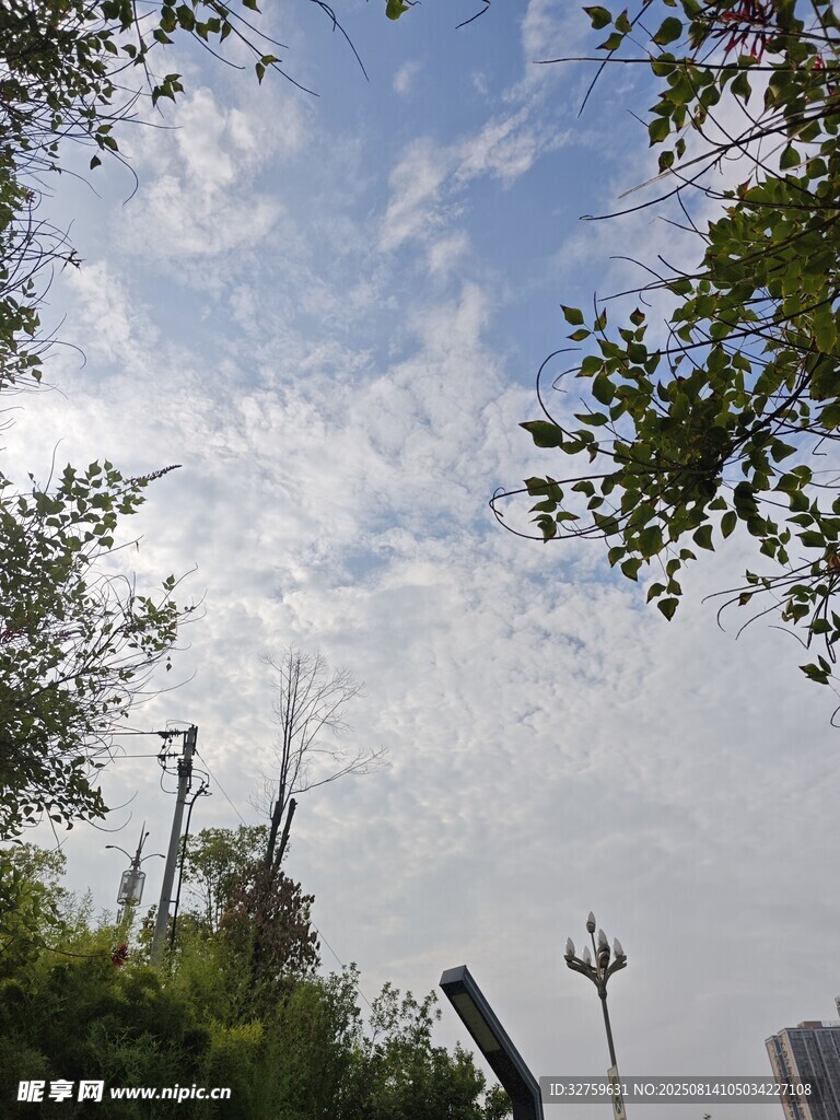 仰視綠樹藍(lán)天中的設(shè)施