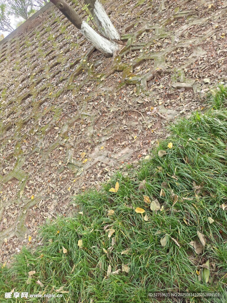 草地斜坡上的白色物體