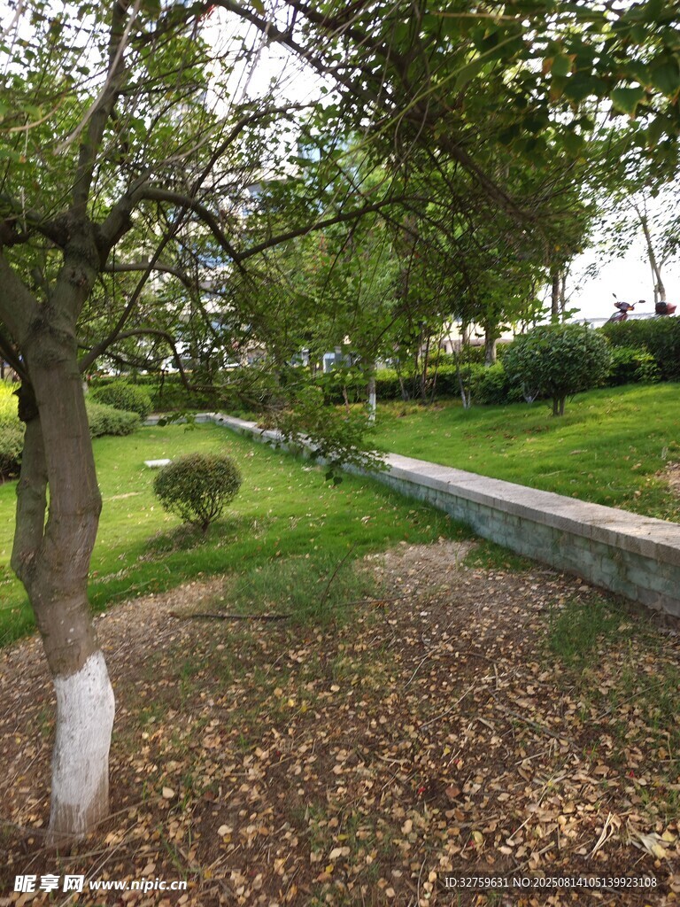公園綠意盎然的林蔭小徑