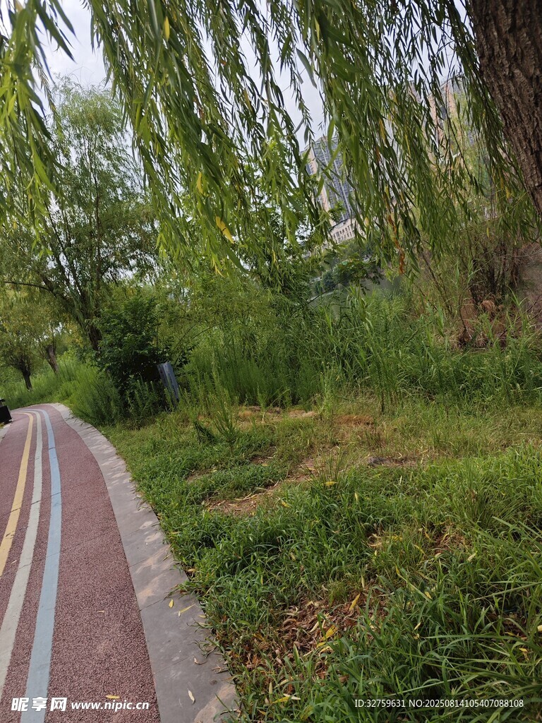 林間彩色步道