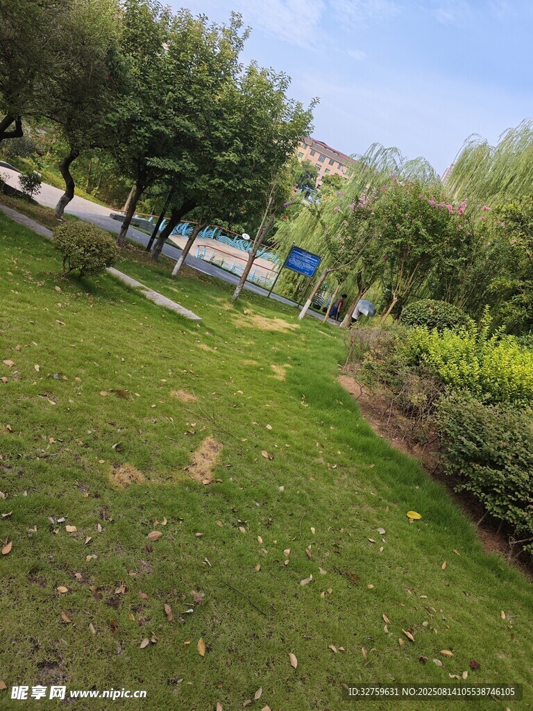 綠意盎然的戶外小徑