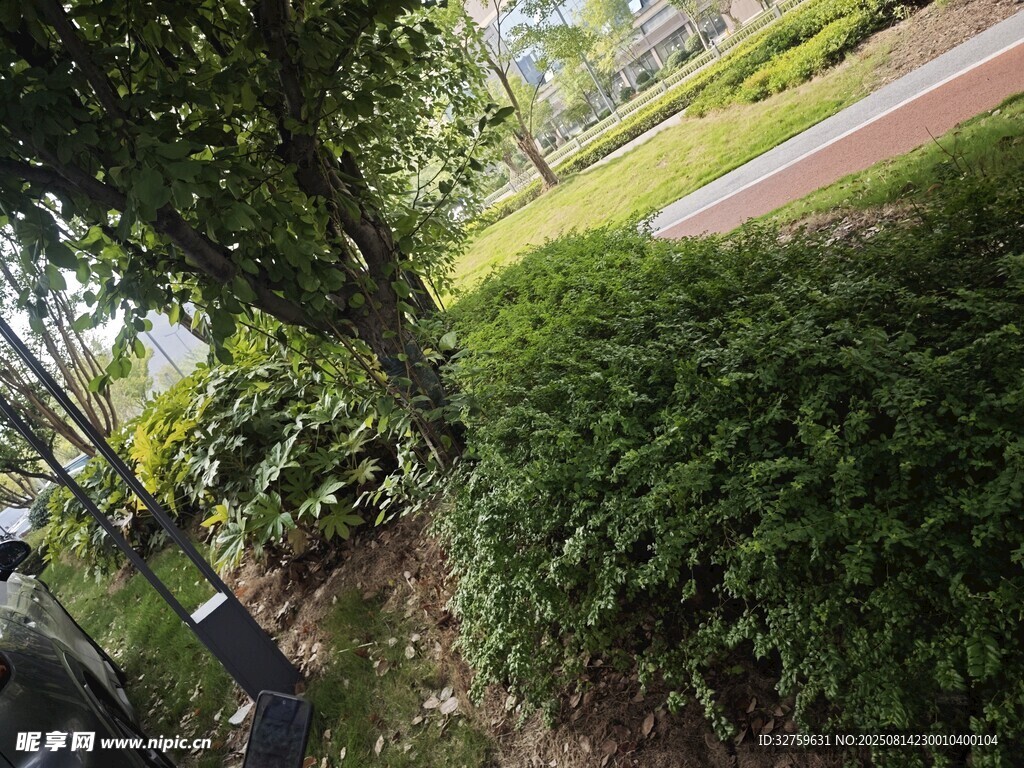 綠意盎然的公園景觀
