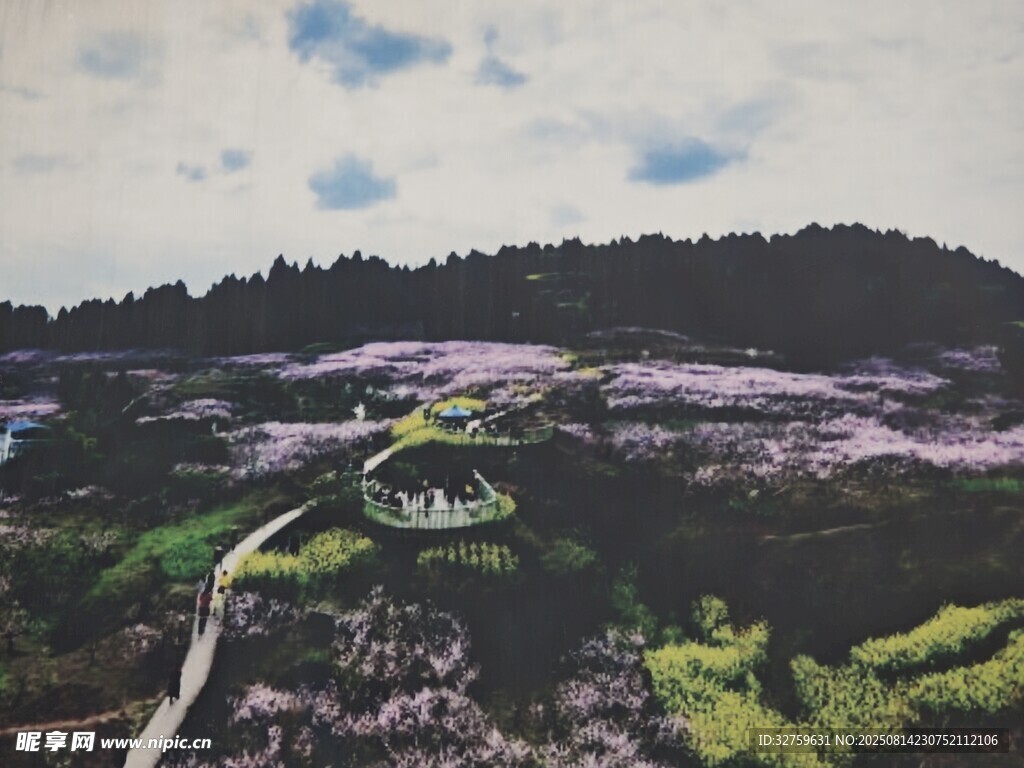 夢幻紫色花海山間小徑