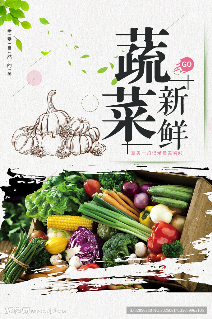 新鮮蔬菜