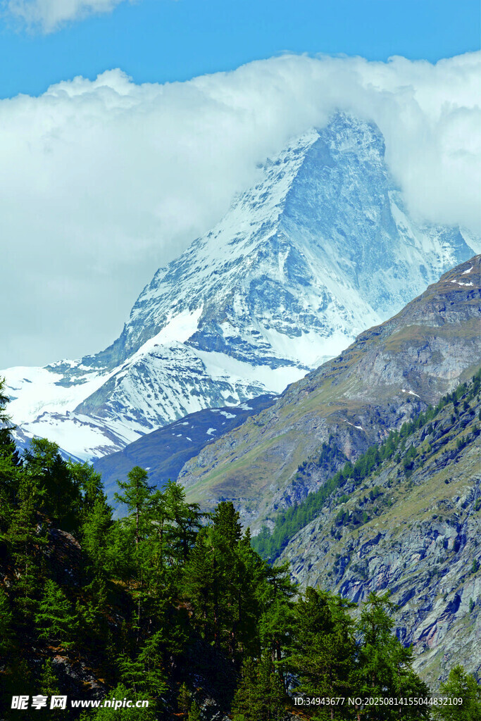 雪山森林美景