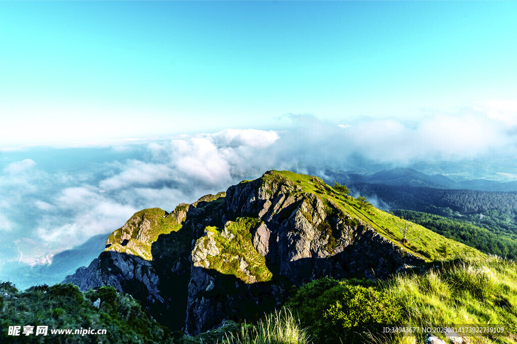 巍峨青山聳入云海