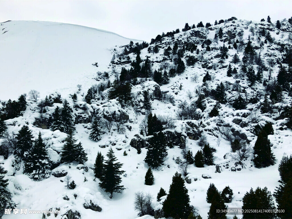 雪覆山林美景