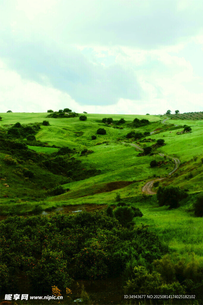 翠綠山丘田園風(fēng)光美景