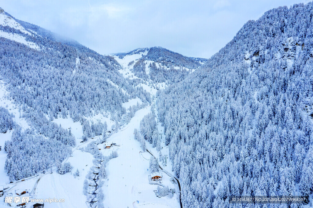 冬日雪覆山林美景