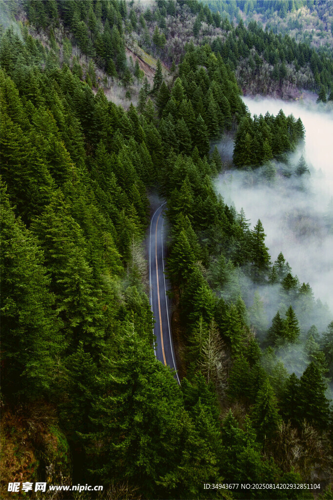 山間迷霧中的蜿蜒公路