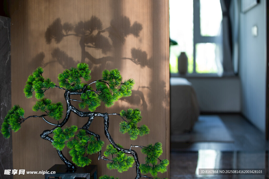 室內(nèi)綠植盆景