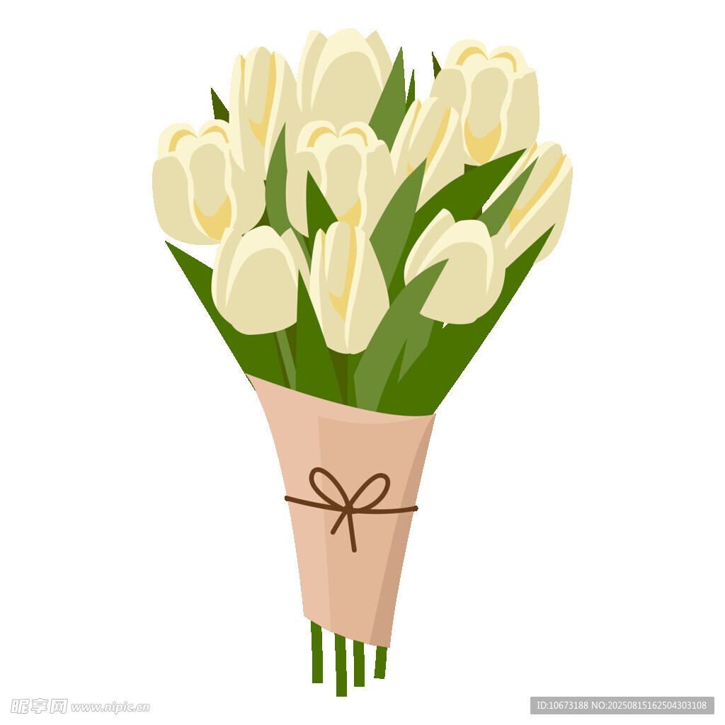 白色郁金香花束插畫