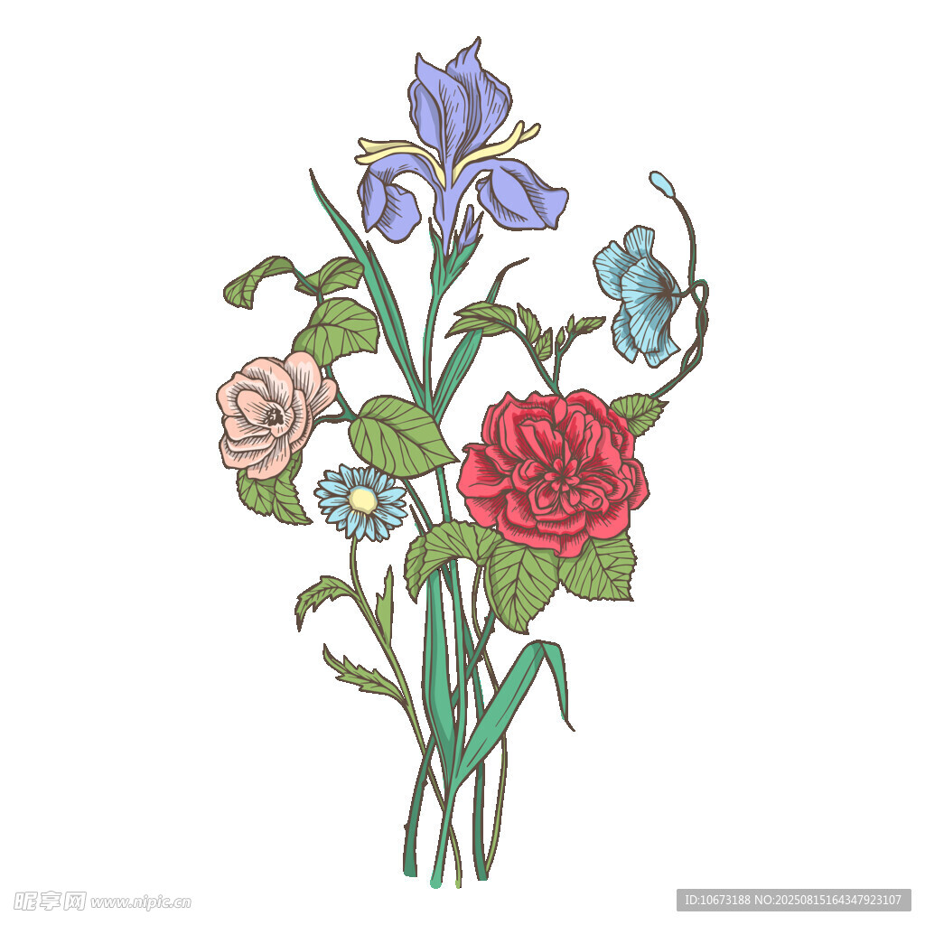 手繪花卉插畫一束花
