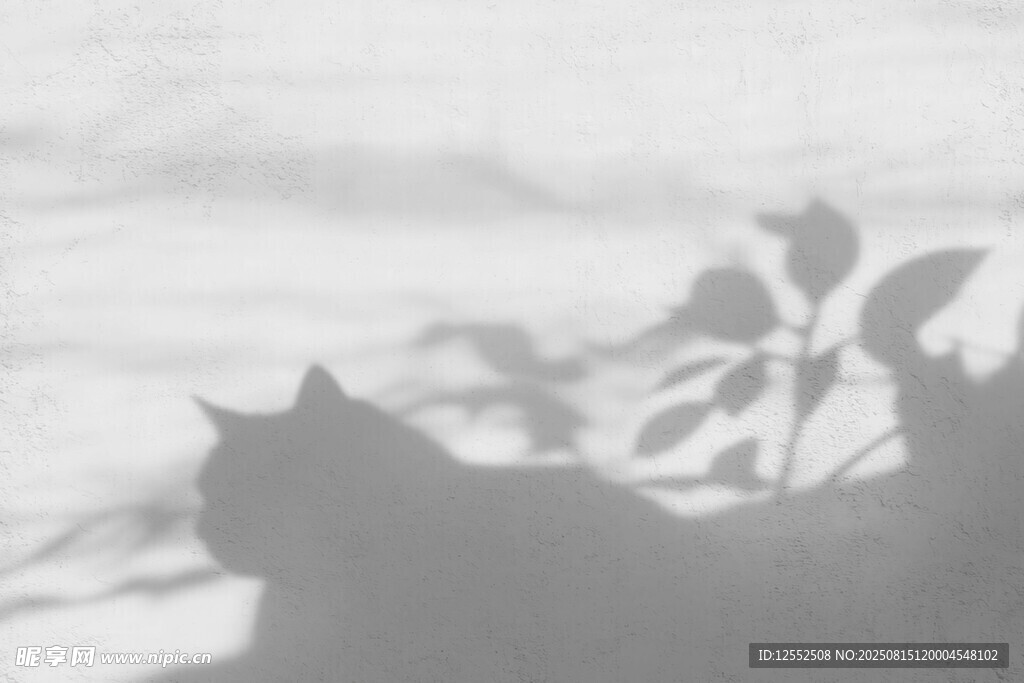 窗邊貓咪與植物剪影