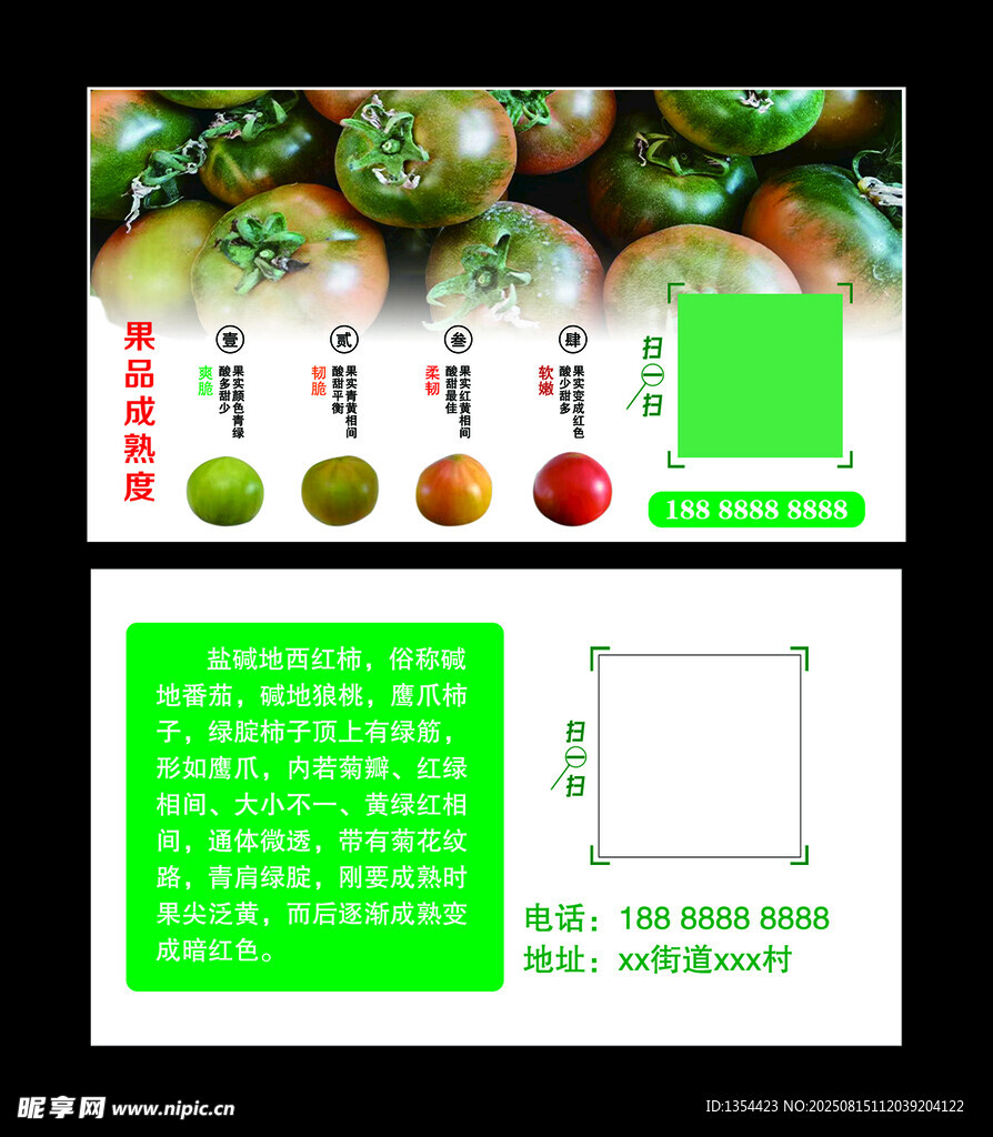 堿地柿子名片
