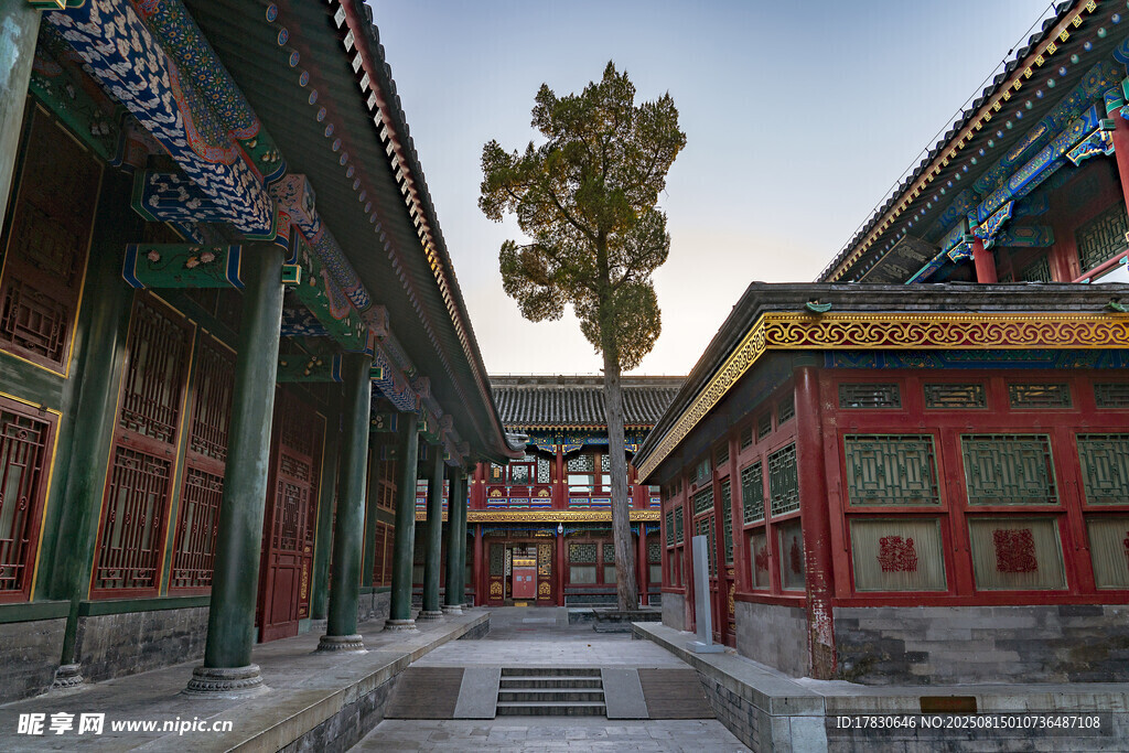 古建庭院中的秋日景象