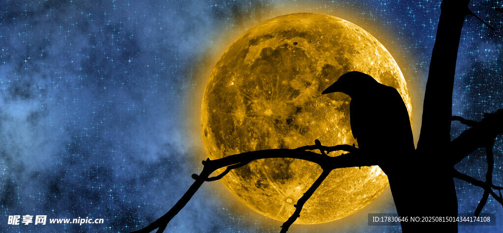 月夜孤鳥棲于枝頭