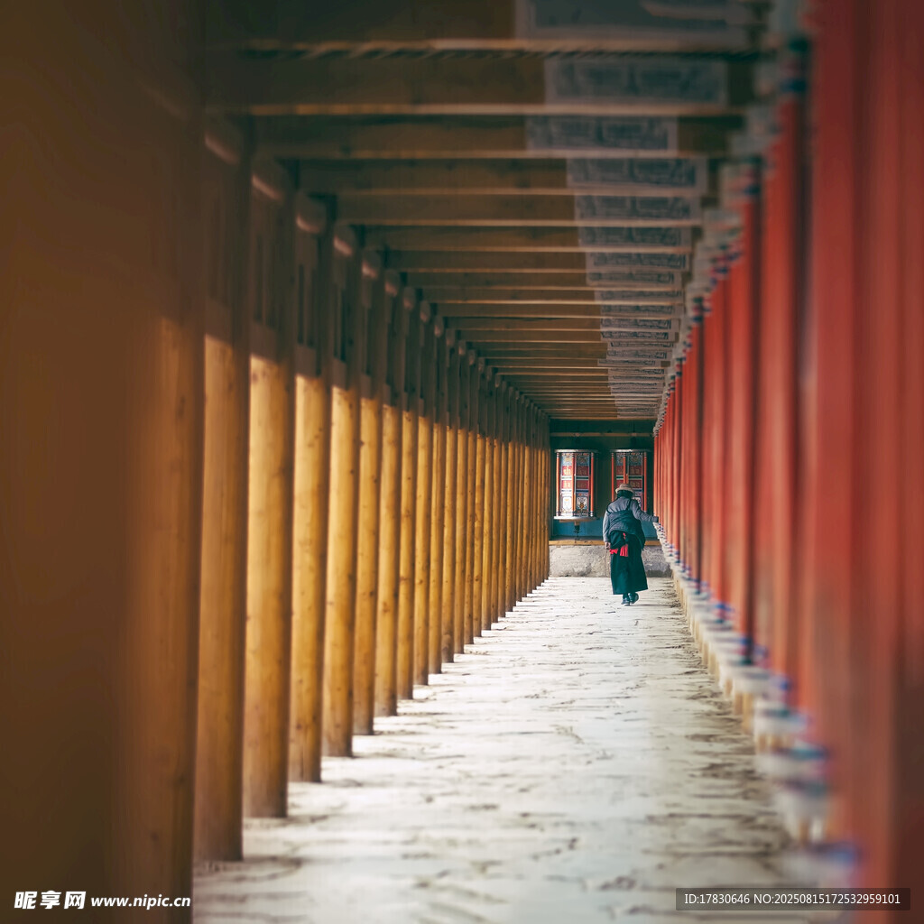 紅墻長(zhǎng)廊下的獨(dú)行者